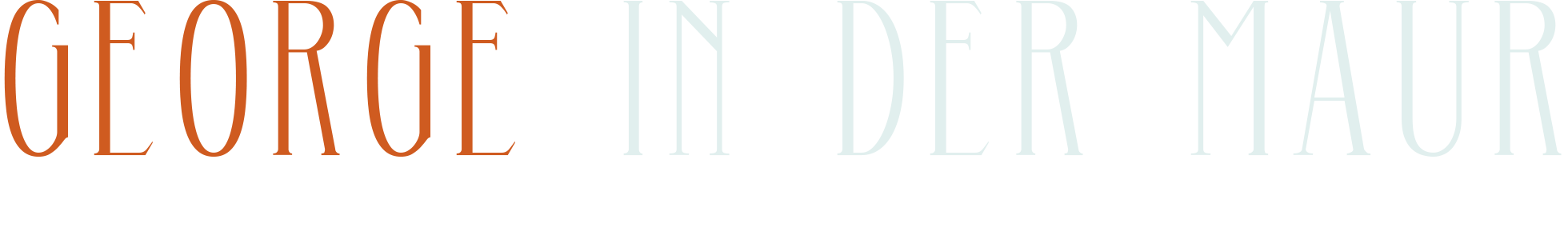 IDM Logo